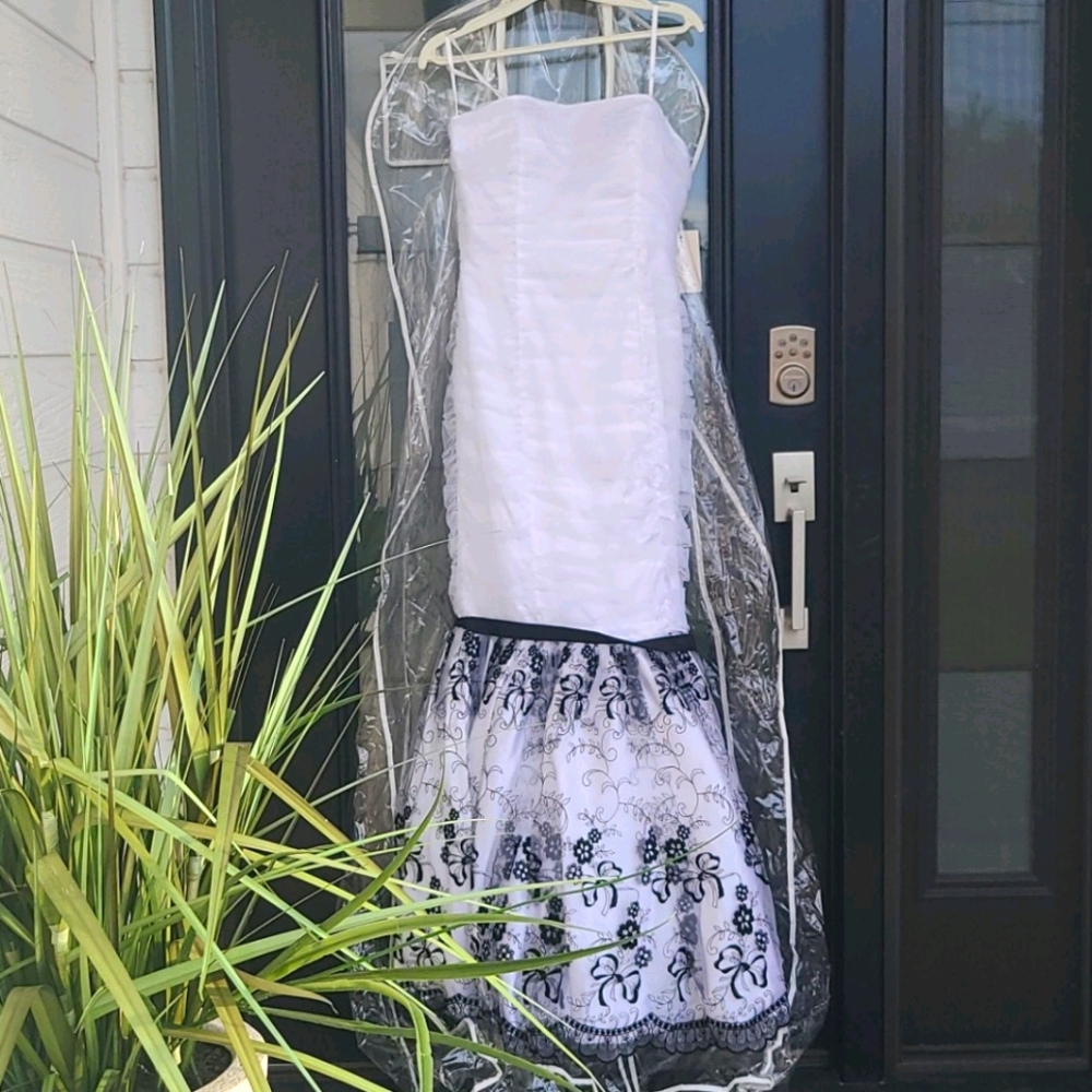 Prom/Wedding Dress